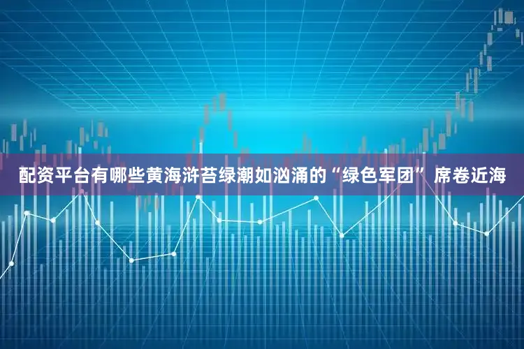 配资平台有哪些黄海浒苔绿潮如汹涌的“绿色军团” 席卷近海