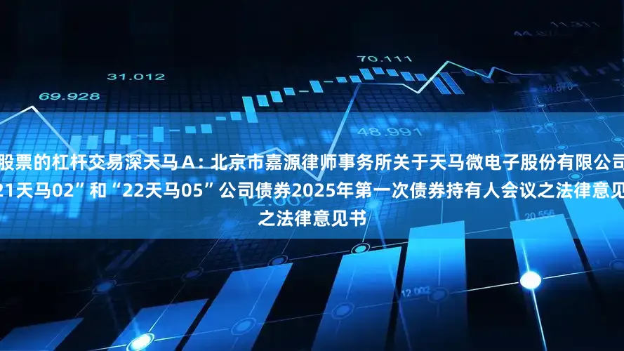 股票的杠杆交易深天马Ａ: 北京市嘉源律师事务所关于天马微电子股份有限公司“21天马02”和“22天马05”公司债券2025年第一次债券持有人会议之法律意见书