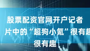 股票配资官网开户记者：片中的“超狗小氪”很有趣